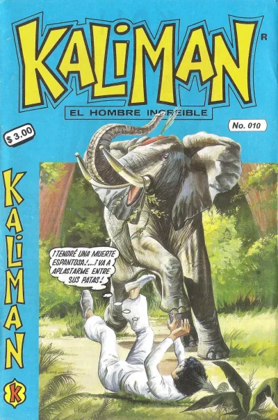 Cover of Issue #10