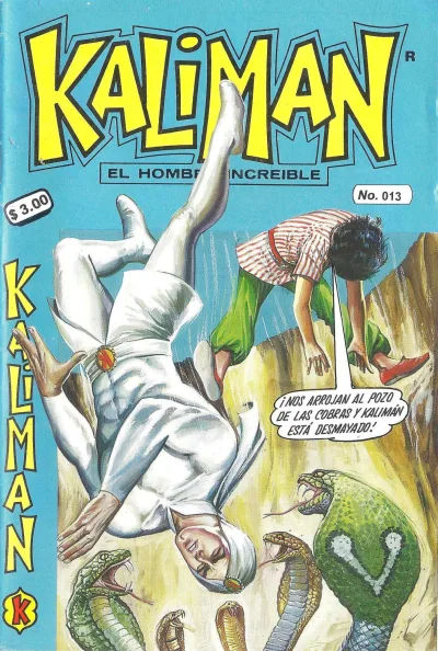 Cover of Issue #13