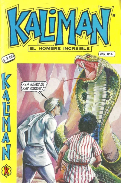 Cover of Issue #14