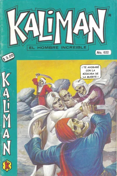 Cover of Issue #22