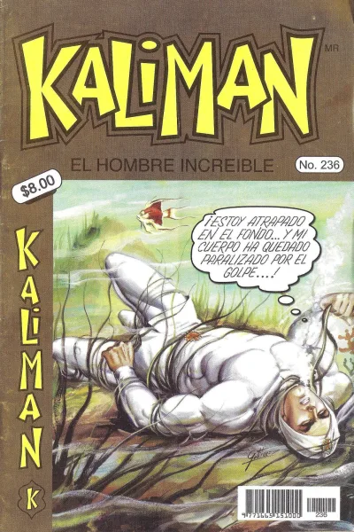Cover of Issue #236