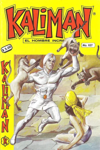 Cover of Issue #27