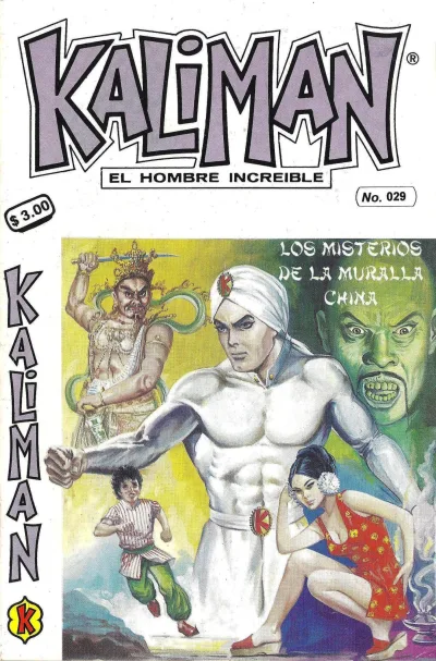 Cover of Issue #29