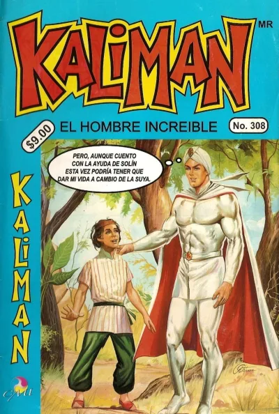 Cover of Issue #308