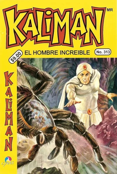 Cover of Issue #313