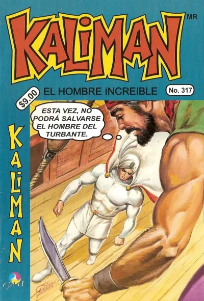 Cover of Issue #317