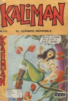 Cover of Los Misterios de la Muralla China - 35o. Capítulo