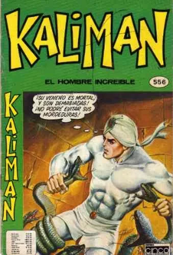 Cover of La Bruja Blanca - 4o. Capítulo