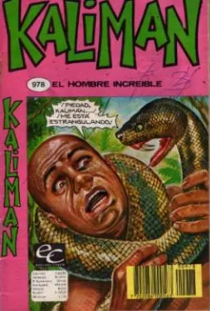 Cover of Las Panteras Negras de Estambul - 11er. Capítulo