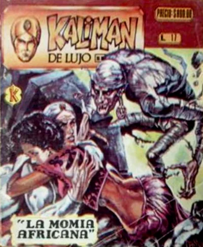 Cover of Issue #17