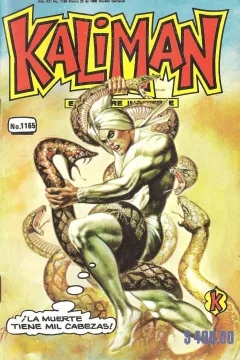 Issue #1165