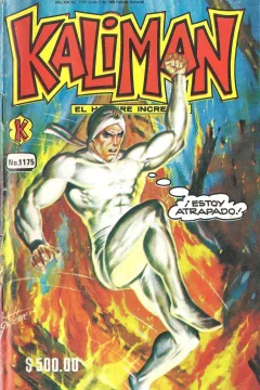 Issue #1175