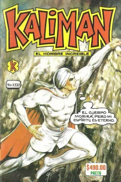 Issue #1232