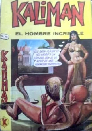 Cover of Los Jinetes del Terror - 13o. Capítulo