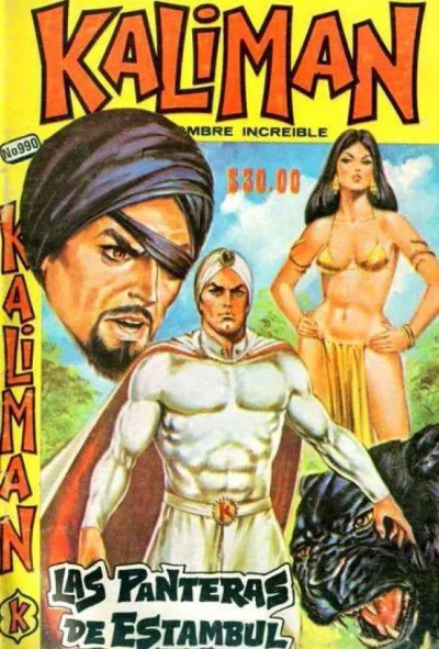 Cover of Las Panteras Negras de Estambul - 13o. Capítulo