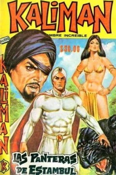 Las Panteras Negras de Estambul - 13o. Capítulo