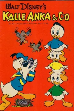 Issue #196026