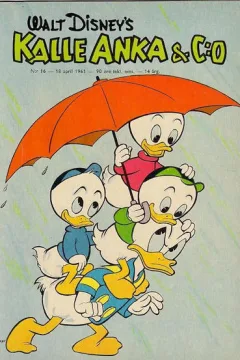 Issue #196116