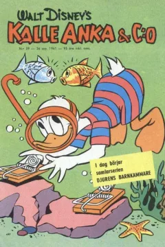 Issue #196139