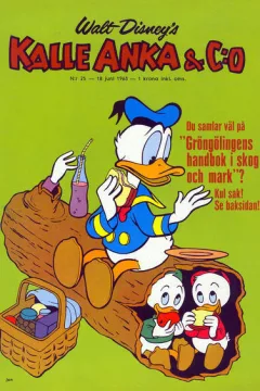 Issue #196325