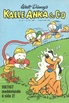 Issue #196343