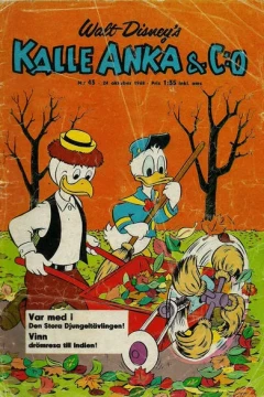 Issue #196843