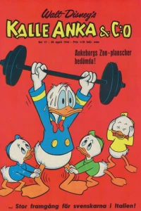 Issue #196617