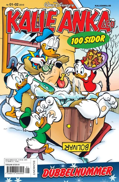 Cover of Issue #201901-02