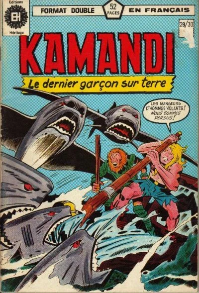 Cover of Issue #29.30