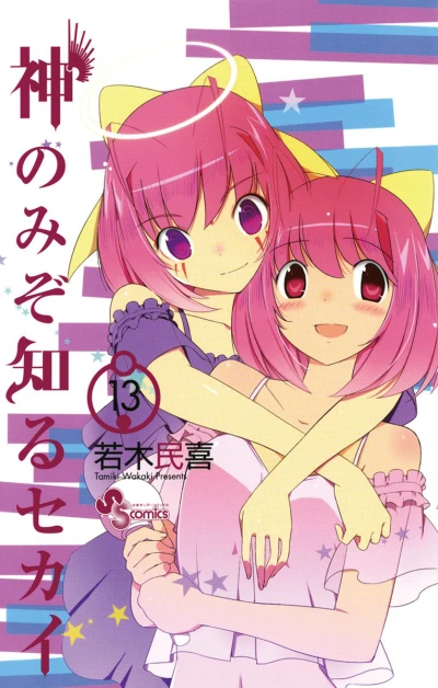 Cover of Vol. 13