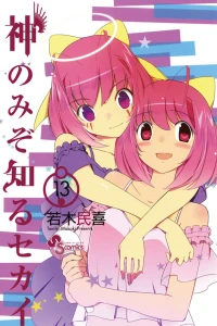 Vol. 13