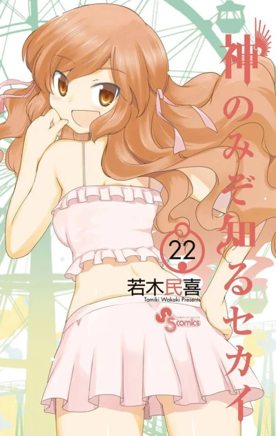 Cover of Vol. 22