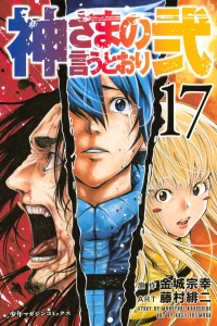 Vol. 17