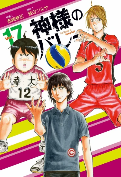 Cover of Vol. 17