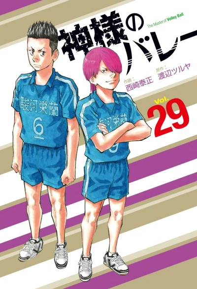 Cover of Vol. 29