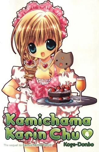 Cover of A Dark Future