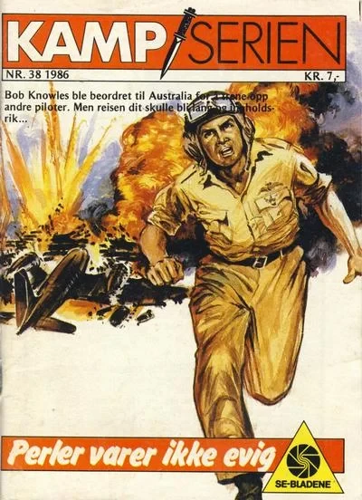 Cover of Issue #198638