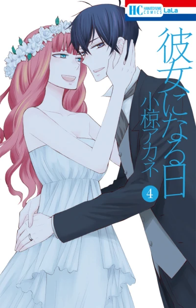 Cover of Vol. 4