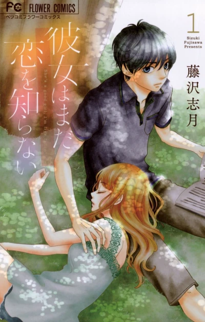 Cover of Vol. 1