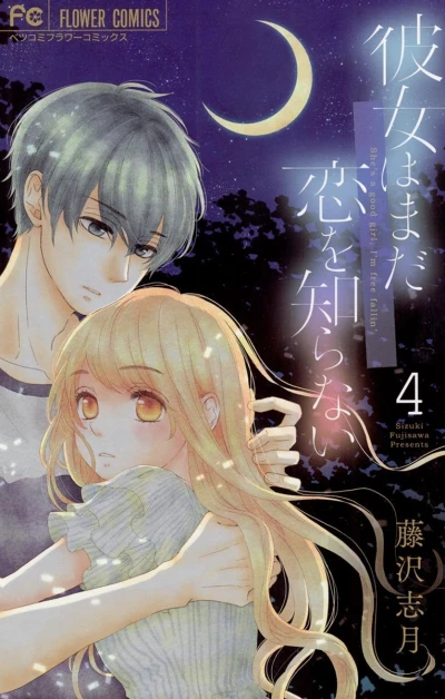 Cover of Vol. 4