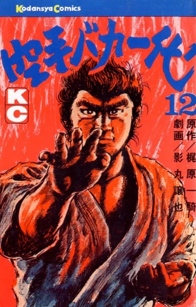 Cover of Vol. 12