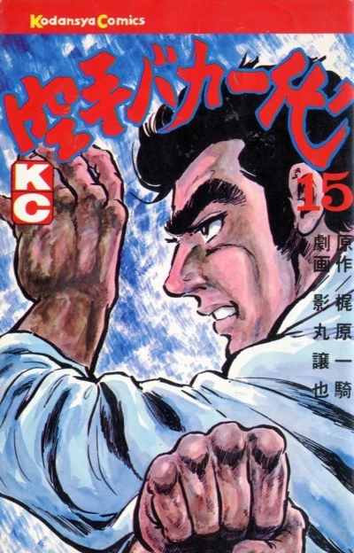 Cover of Vol. 15