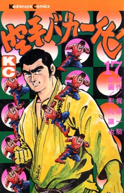 Cover of Vol. 17