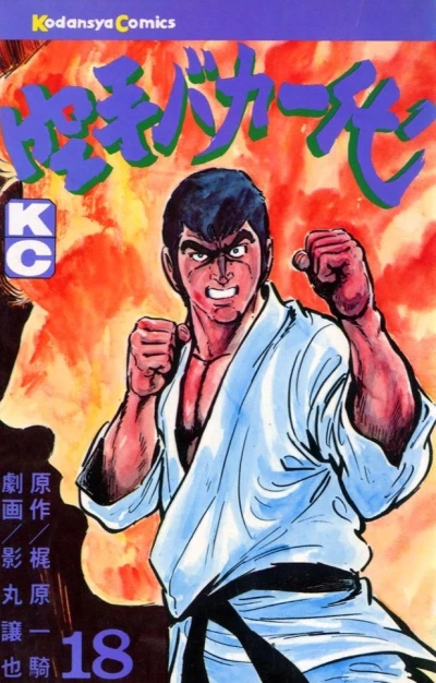 Cover of Vol. 18