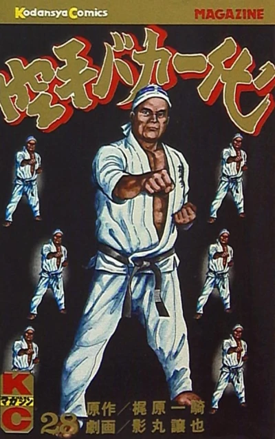 Cover of Vol. 28