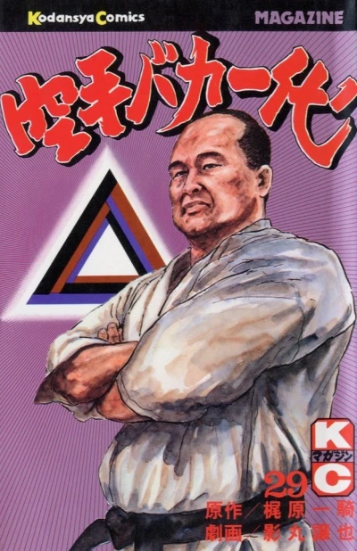 Cover of Vol. 29