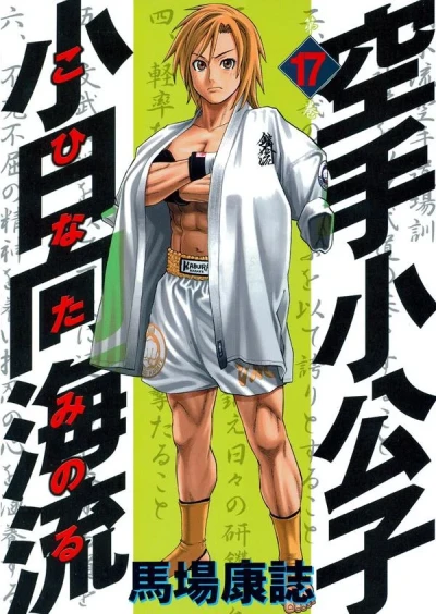 Cover of Volume 17