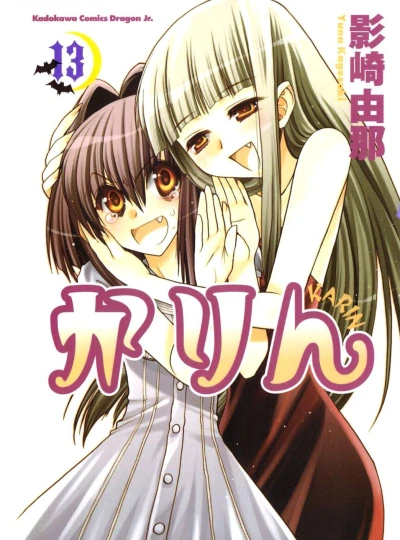 Cover of Vol. 13