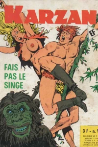 Fais Pas le Singe
