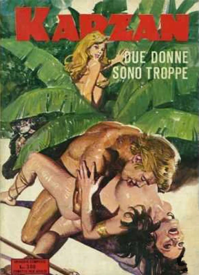 Cover of Due Donne Sono Troppe